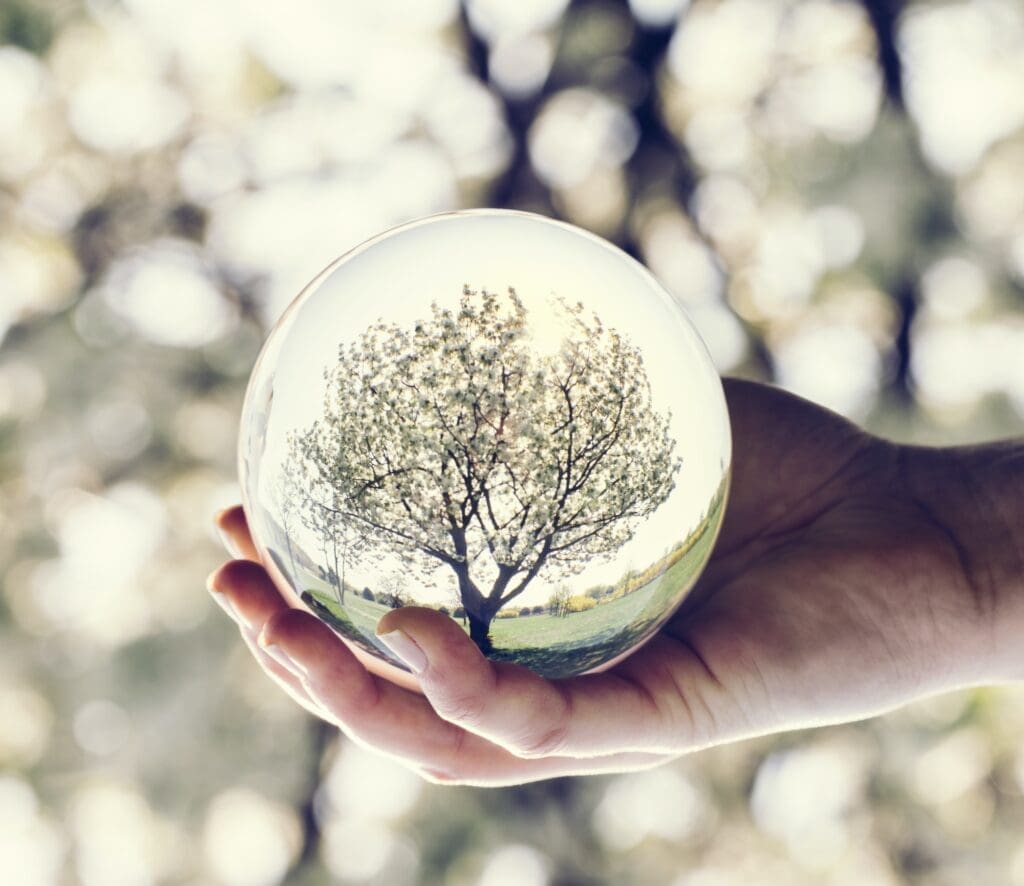 A tree reflection in a glass ball held by a woman.