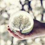 A tree reflection in a glass ball held by a woman.