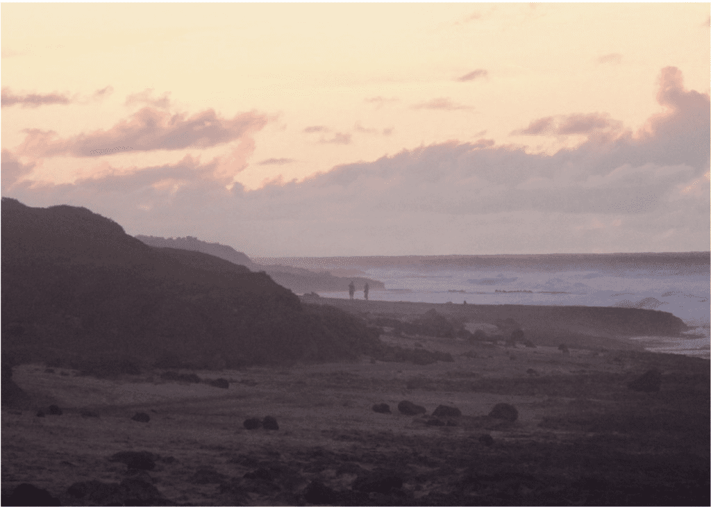 Photo by Alan Landry