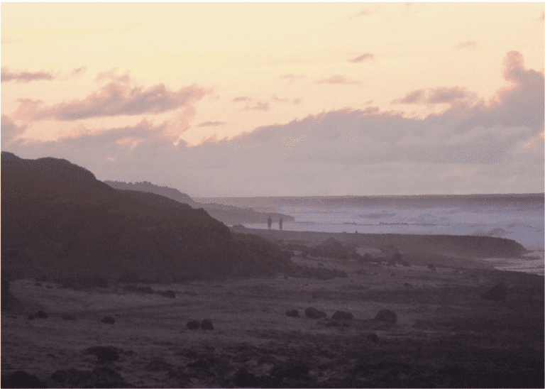 Photo by Alan Landry