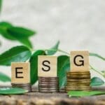 ESG abbreviation on wooden cubes, which are on the coins. Environmental Social Governance.