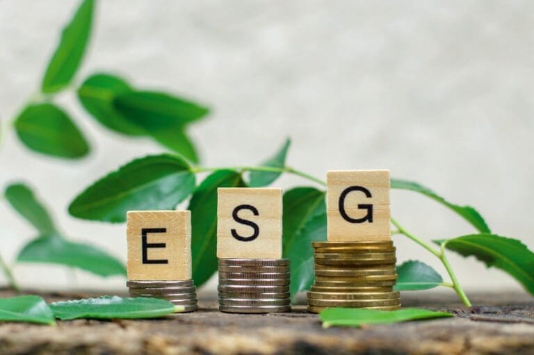 ESG abbreviation on wooden cubes, which are on the coins. Environmental Social Governance.