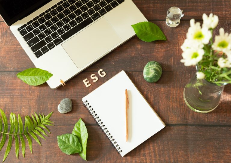 Flat lay ESG concept